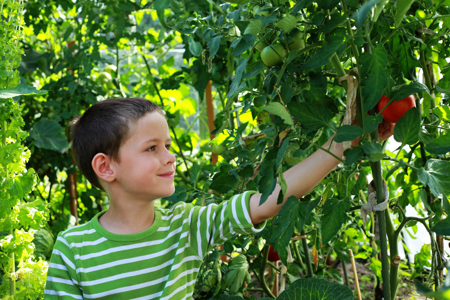 Creating Sustainable School Meal Menus